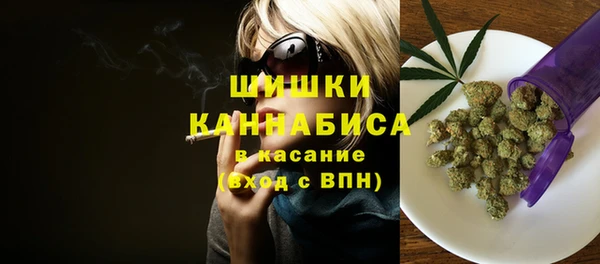 прущая мука Дмитриев