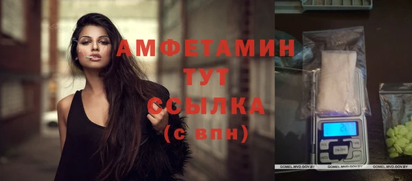 2c-b Ельня