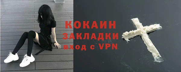 прущая мука Дмитриев