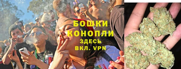 прущая мука Дмитриев
