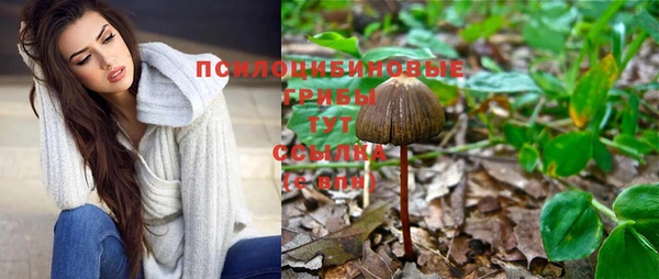 соль курить ск Дмитров