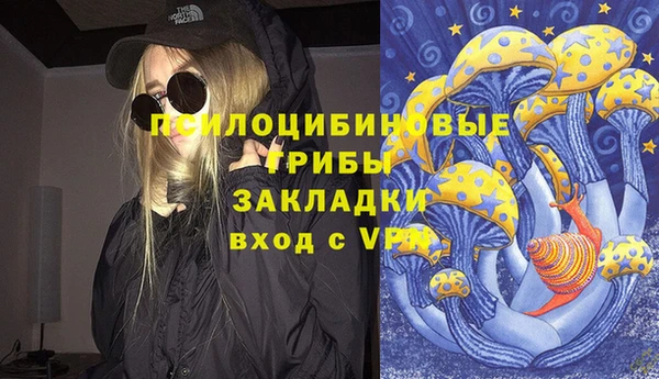 прущая мука Дмитриев