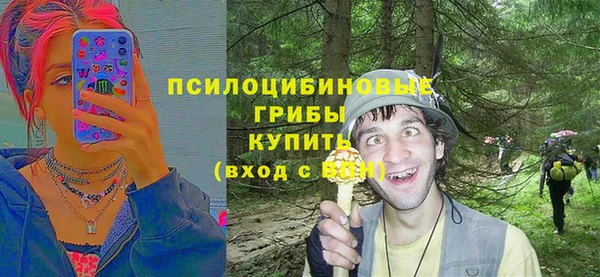 соль курить ск Дмитров