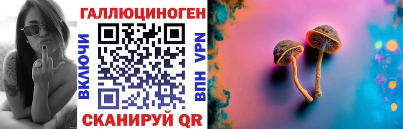 Псилоцибиновые грибы Psilocybine cubensis  Севастополь 