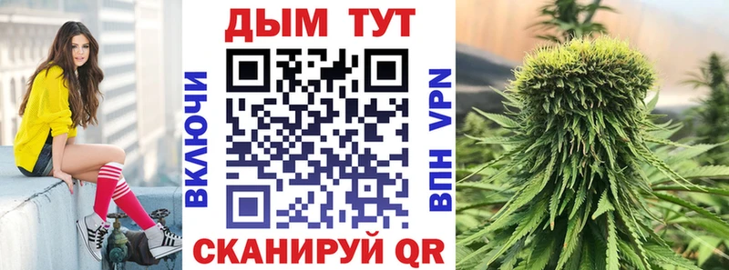 blacksprut tor  Севастополь  Канабис план  наркота 